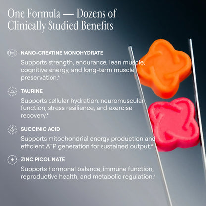 Arq8™ Nano Creatine Gummies